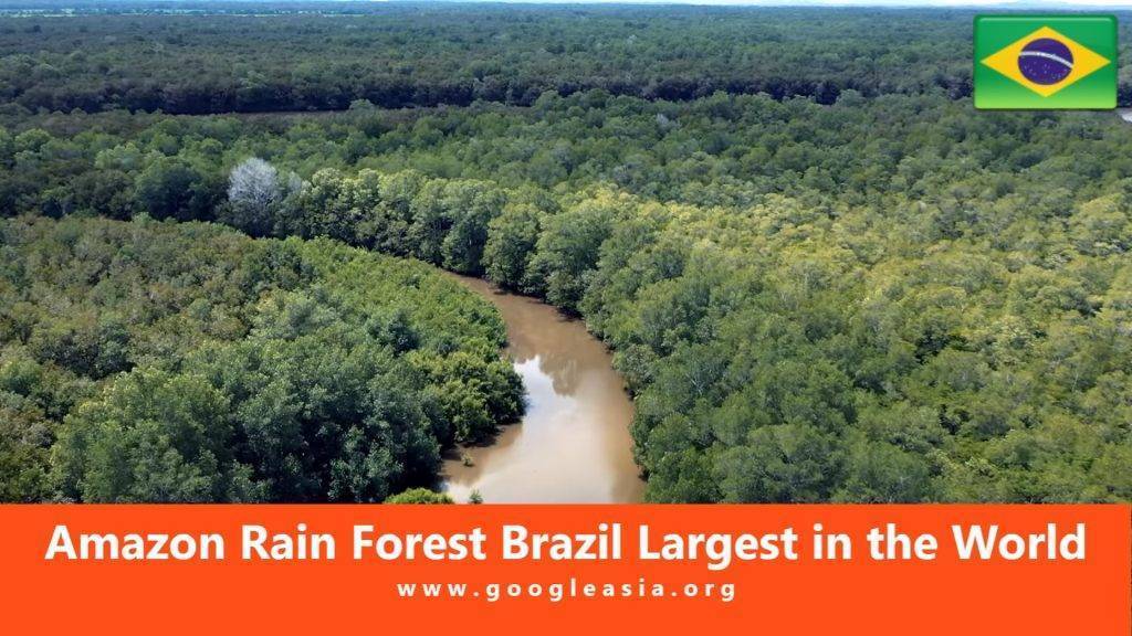 Amazon Rainforest Brazil Largest in the World