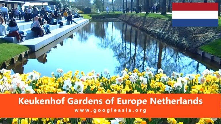 Keukenhof Gardens of Europe Netherlands