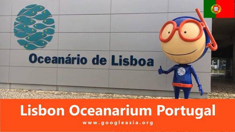 Lisbon Oceanarium Portugal Largest Aquariums in Europe