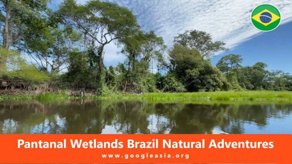 Pantanal Wetlands Brazil Natural Adventures