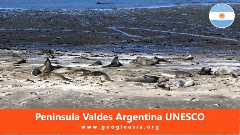 Peninsula Valdes Argentina UNESCO World Heritage Site