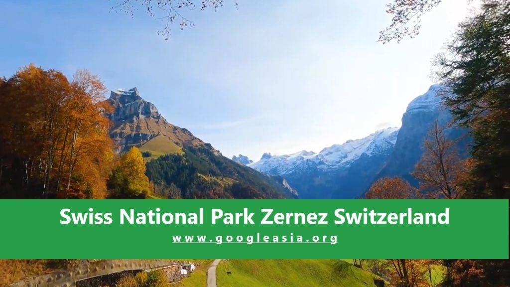 Swiss National Park Zernez Switzerland