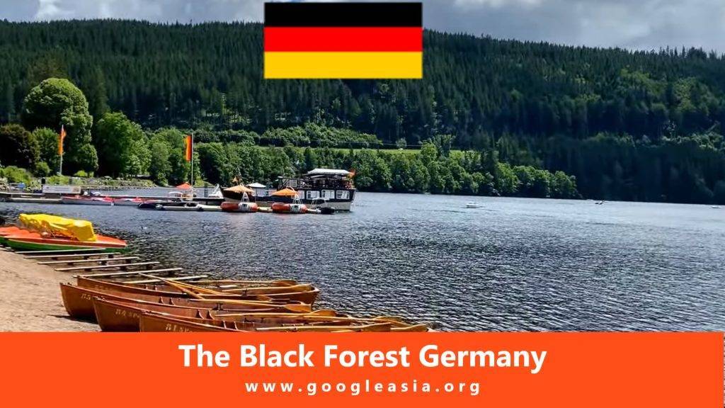 The Black Forest Germany
