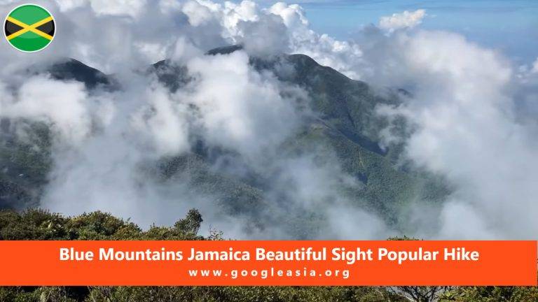 Blue Mountains Jamaica Beautiful Sight Popular Hike