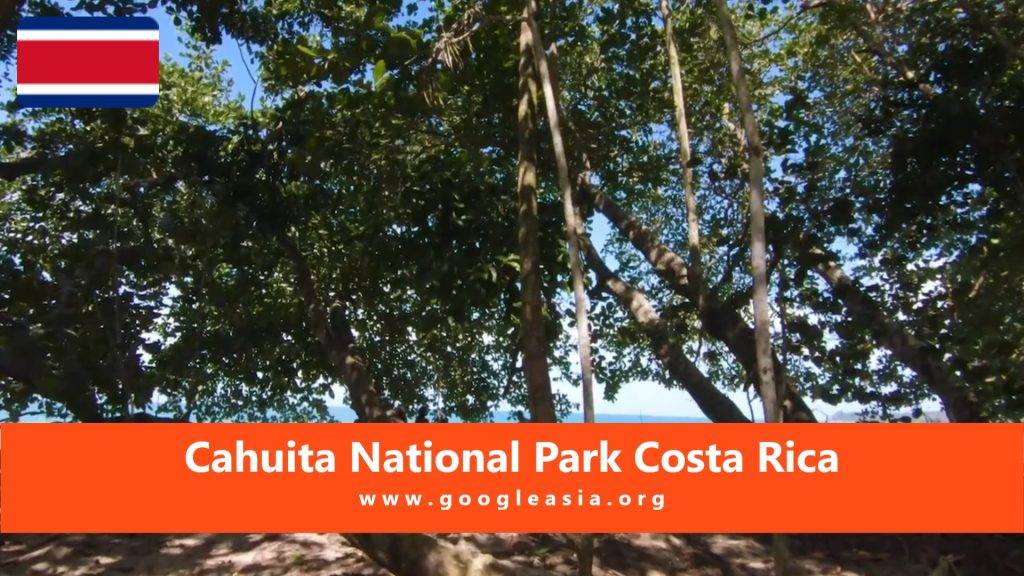 Cahuita National Park Caribbean Coast of Costa Rica