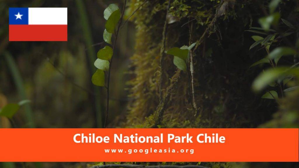 Chiloe National Park Chile