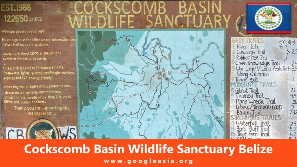 Cockscomb Basin Wildlife Sanctuary Belize