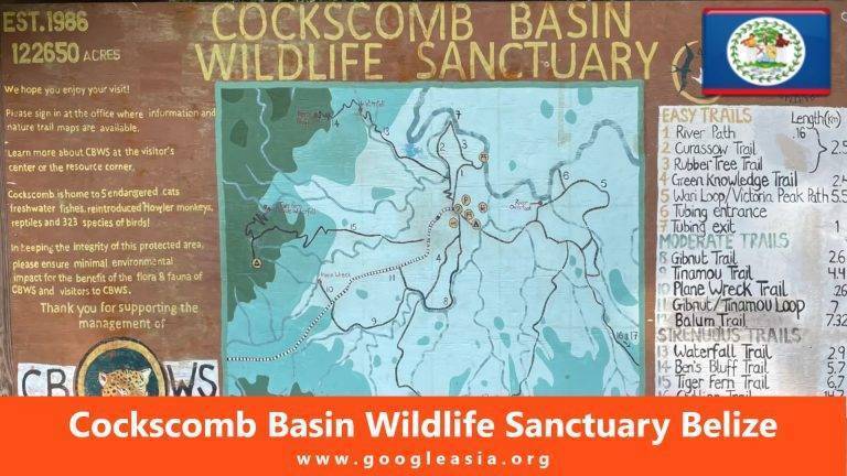 Cockscomb Basin Wildlife Sanctuary Belize