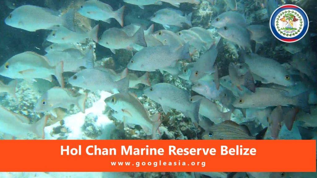 Hol Chan Marine Reserve Belize Treasured Attraction