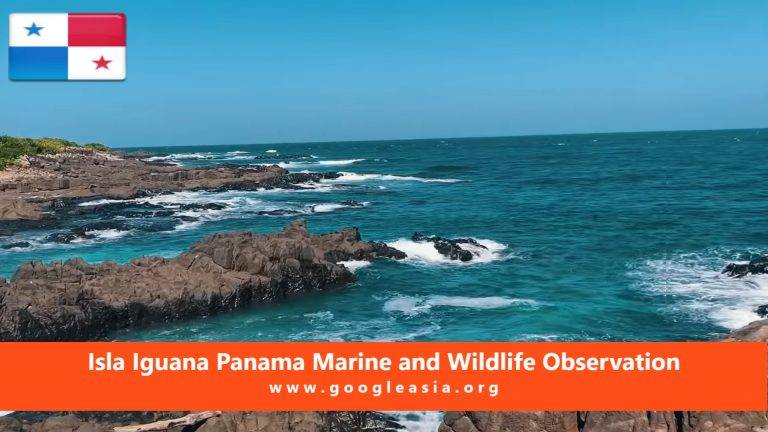 Isla Iguana Panama Marine and Wildlife Observation