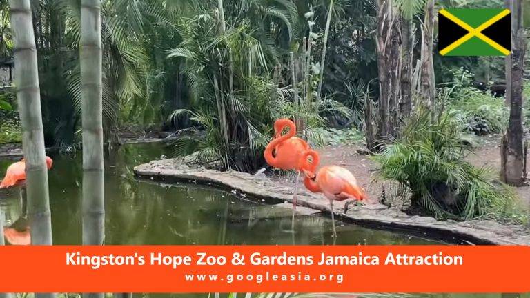 Kingston's Hope Zoo & Gardens Jamaica Attraction