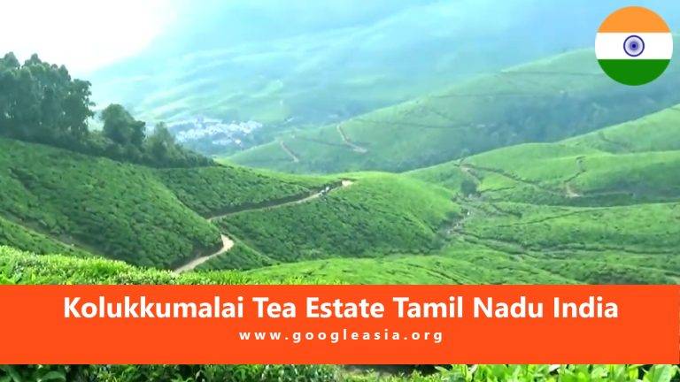 Kolukkumalai Tea Estate Tamil Nadu India
