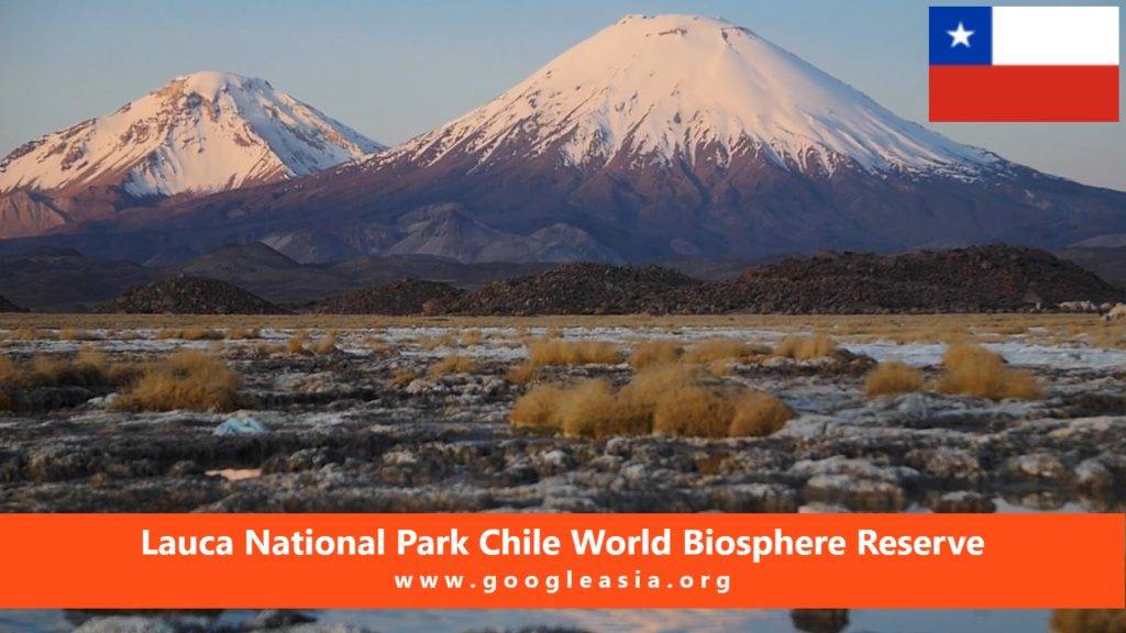 Lauca National Park Chile World Biosphere Reserve