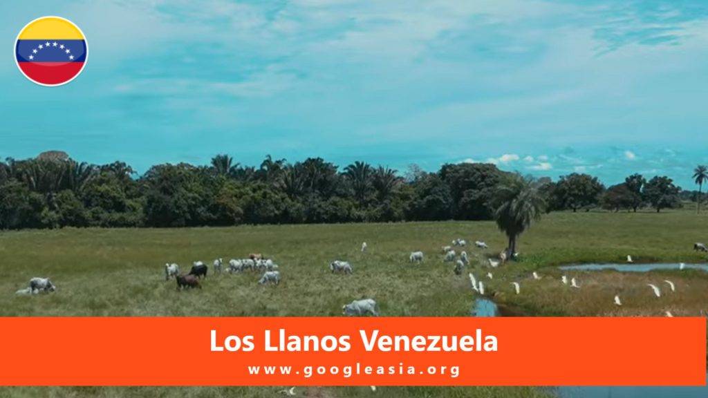 Los Llanos Venezuela