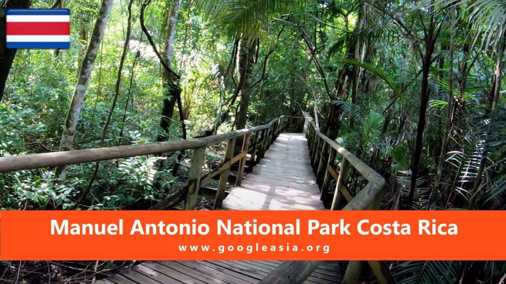 Manuel Antonio National Park Costa Rica Rainforest