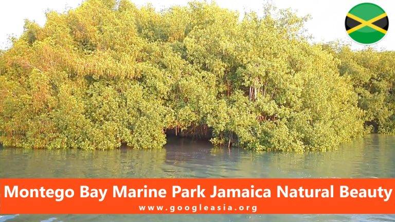 Montego Bay Marine Park Jamaica Natural Beauty