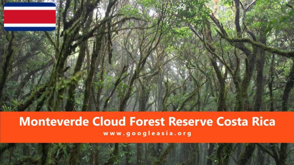 Monteverde Cloud Forest Reserve Costa Rica
