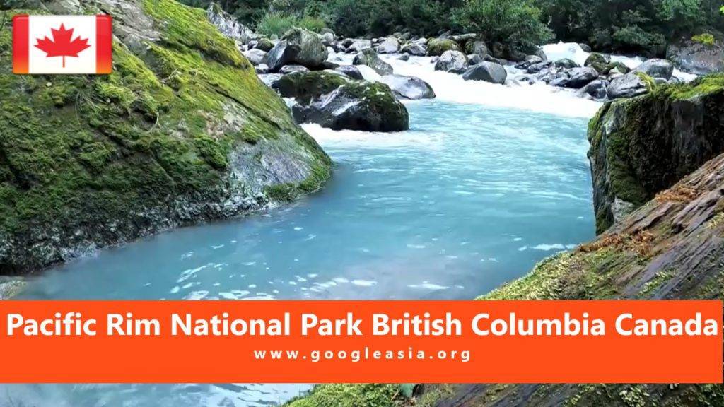 Pacific Rim National Park British Columbia Canada