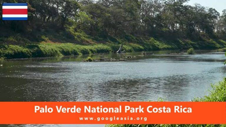 Palo Verde National Park Costa Rica Largest Wetland