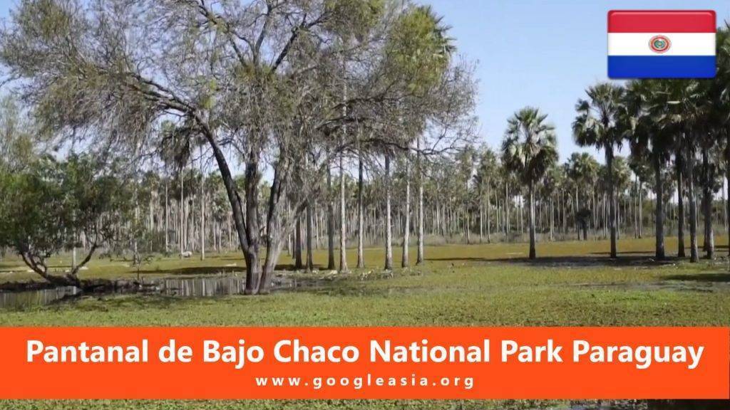 Pantanal de Bajo Chaco National Park Paraguay
