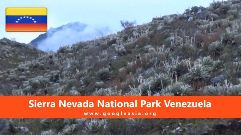 Sierra Nevada National Park Venezuela
