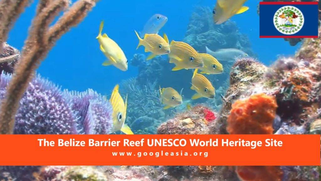 The Belize Barrier Reef UNESCO World Heritage Site