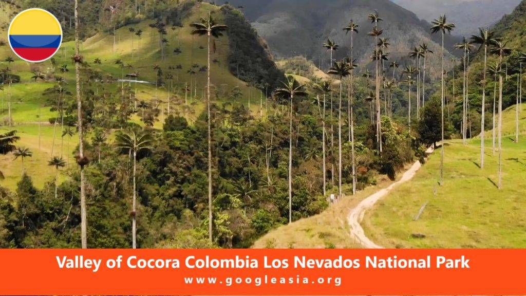 Valley of Cocora Colombia Los Nevados National Park