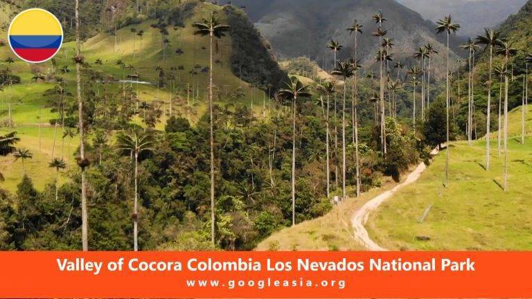 Valley of Cocora Colombia Los Nevados National Park
