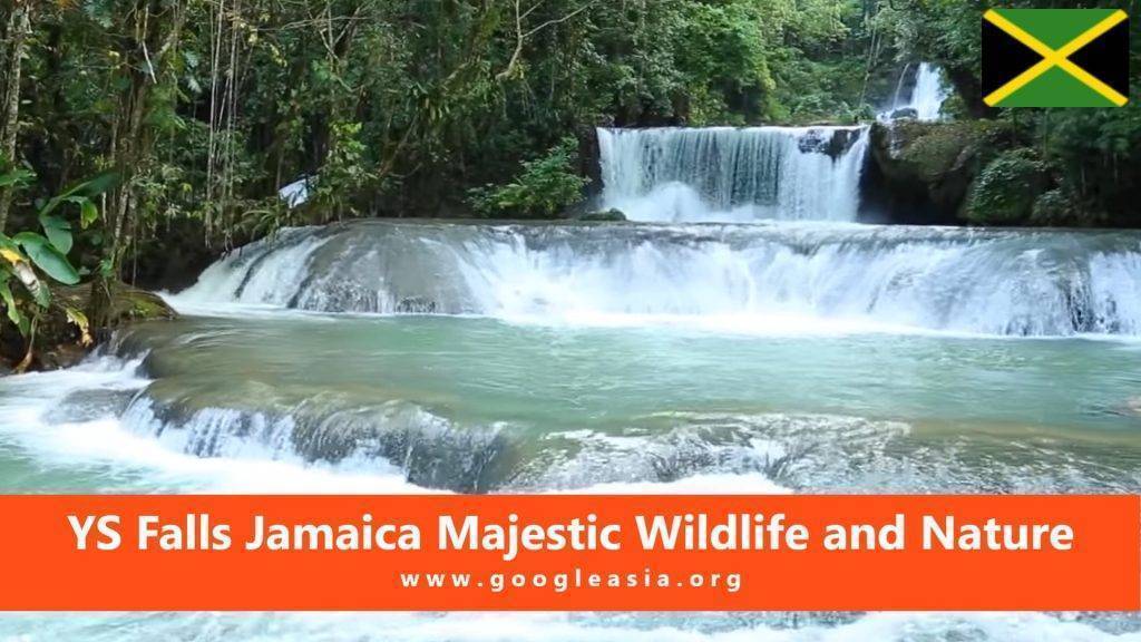 YS Falls Jamaica Majestic Wildlife and Nature