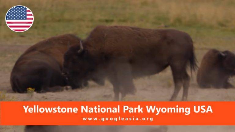 Yellowstone National Park Wyoming USA