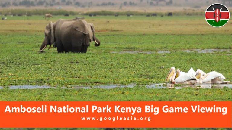 Amboseli National Park Kenya Big Game Viewing