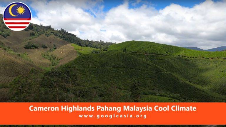 Cameron Highlands Pahang Malaysia Cool Climate