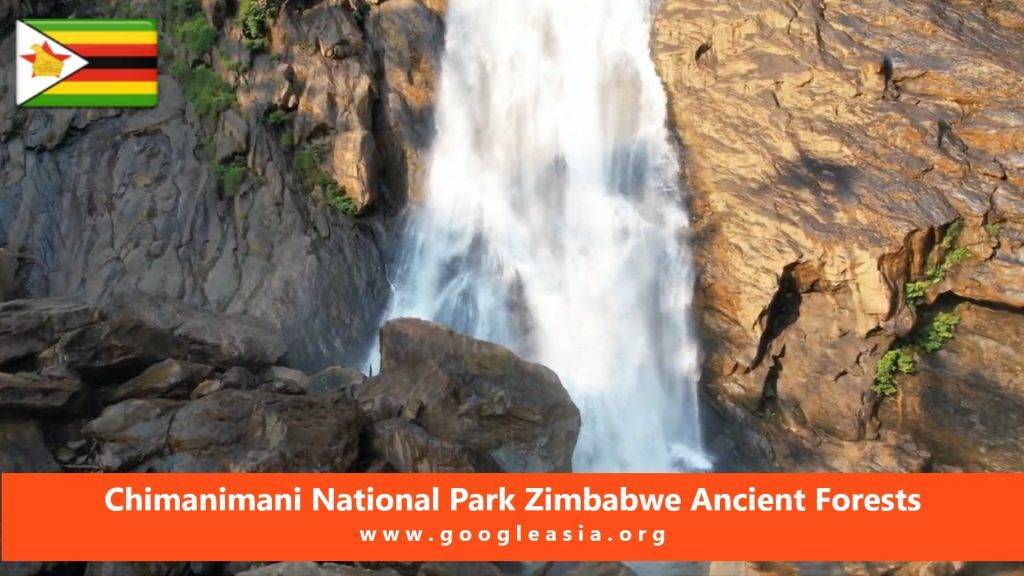Chimanimani National Park Zimbabwe Ancient Forests