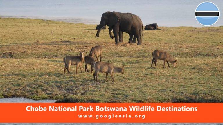Chobe National Park Botswana Wildlife Destinations
