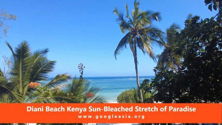 Diani Beach Kenya Sun-Bleached Stretch of Paradise