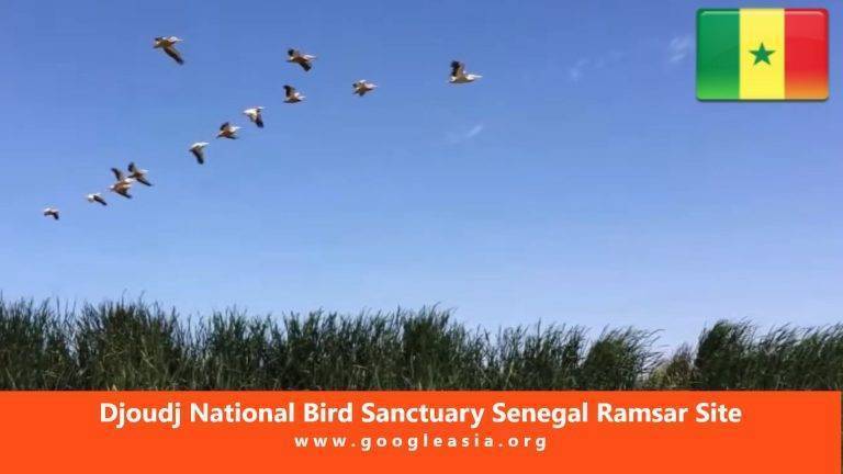 Djoudj National Bird Sanctuary Senegal Ramsar Site