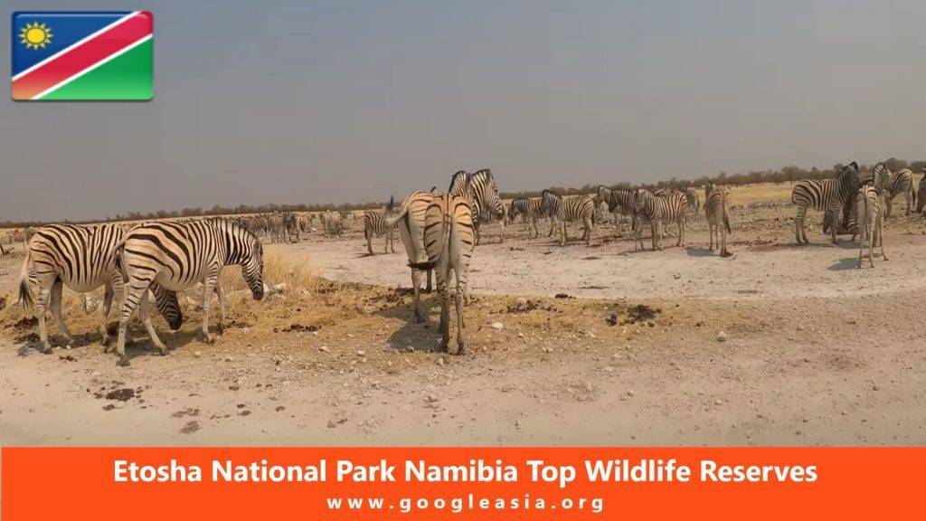 Etosha National Park Namibia Top Wildlife Reserves