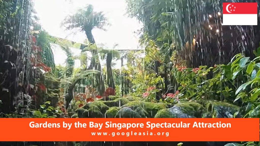 Gardens by the Bay Singapore Spectacular Attraction
