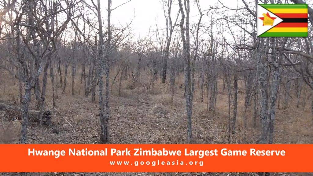 Hwange National Park Zimbabwe Largest Game Reserve