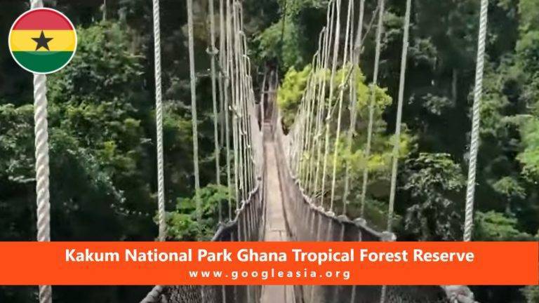 Kakum National Park Ghana Tropical Forest Reserve