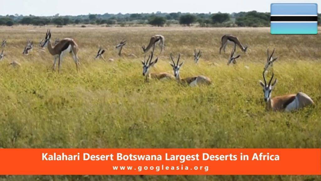 Kalahari Desert Botswana Largest Deserts in Africa