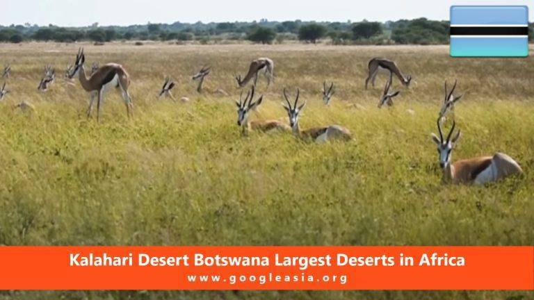 Kalahari Desert Botswana Largest Deserts in Africa