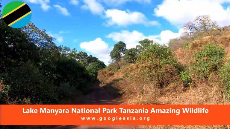 Lake Manyara National Park Tanzania Amazing Wildlife