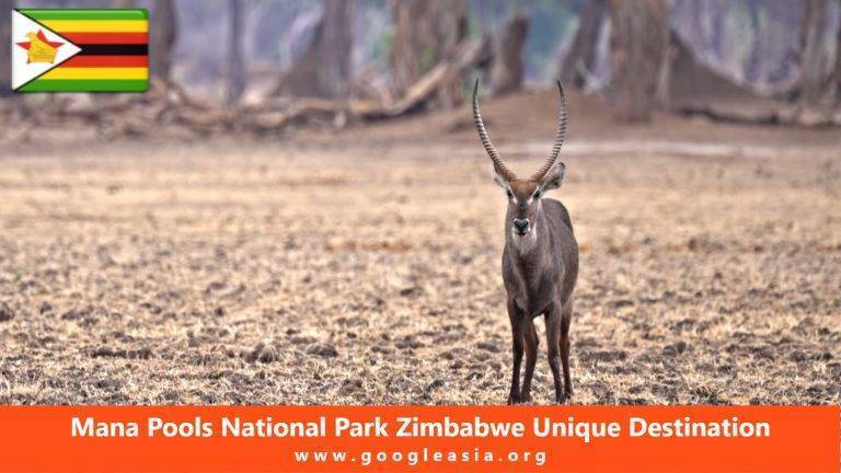 Mana Pools National Park Zimbabwe Unique Destination