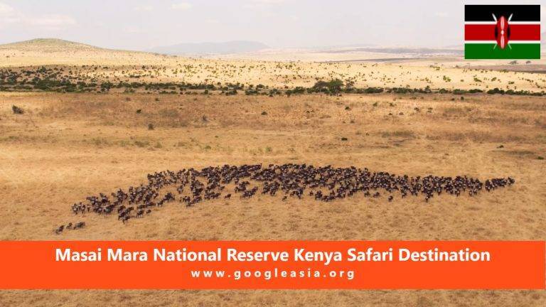 Masai Mara National Reserve Kenya Safari Destination