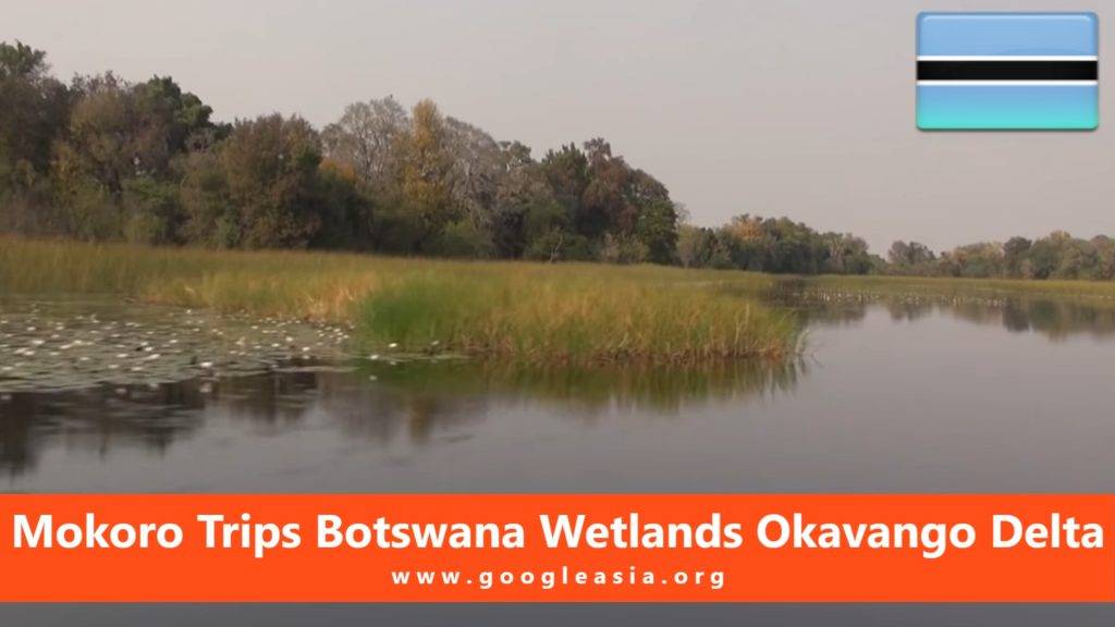 Mokoro Trips Botswana Wetlands Okavango Delta