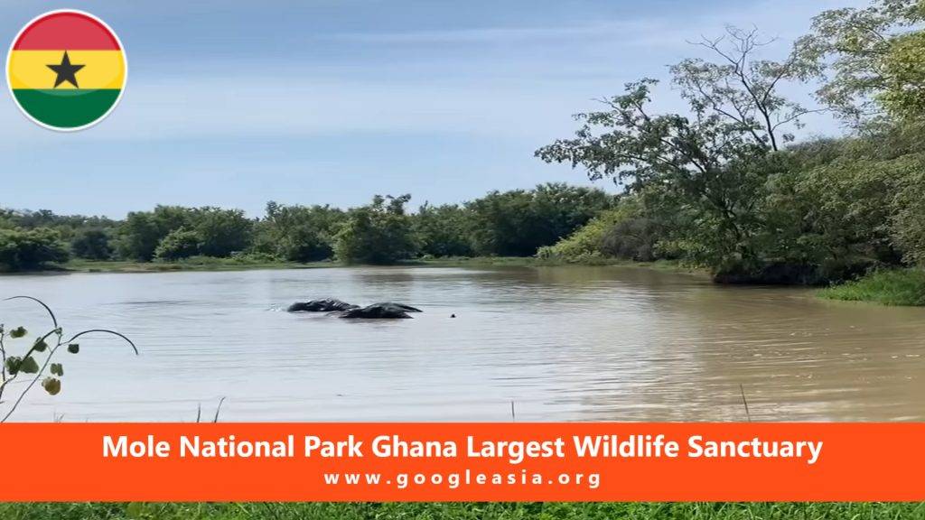 Mole National Park Ghana Largest Wildlife Sanctuary