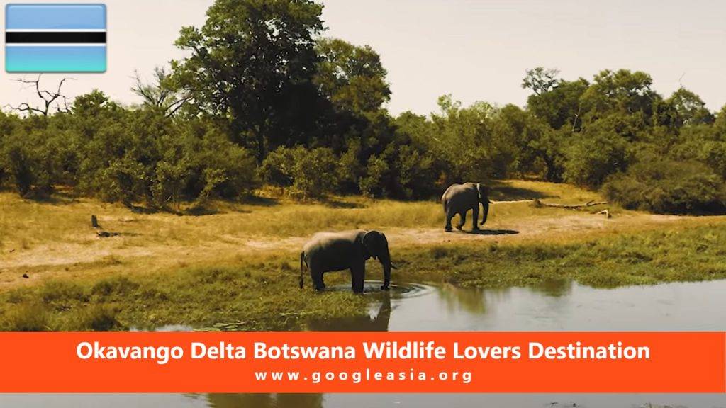 Okavango Delta Botswana Wildlife Lovers Destination
