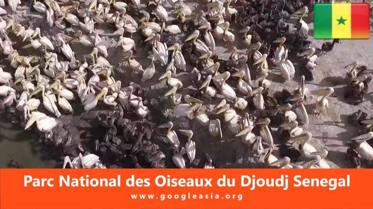 Parc National des Oiseaux du Djoudj Senegal