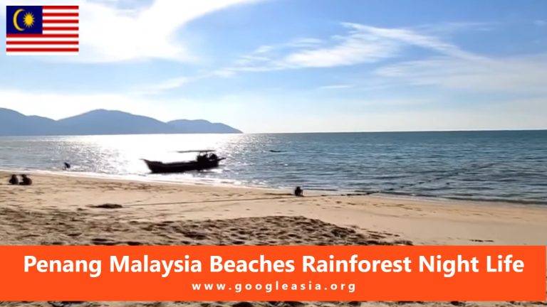 Penang Malaysia Beaches Rainforest Night Life